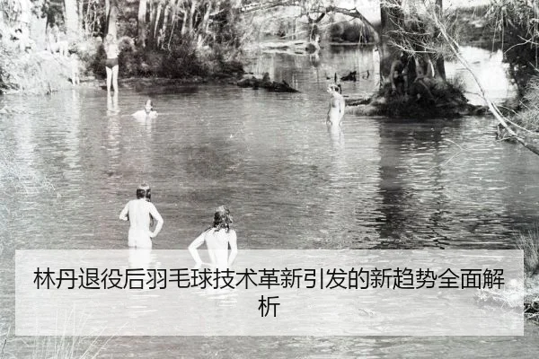 林丹退役后羽毛球技术革新引发的新趋势全面解析