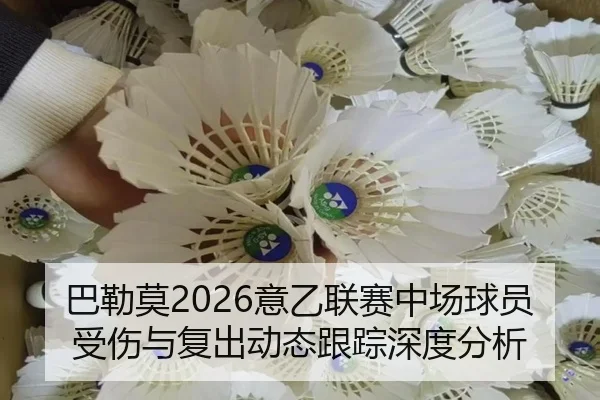 巴勒莫2026意乙联赛中场球员受伤与复出动态跟踪深度分析
